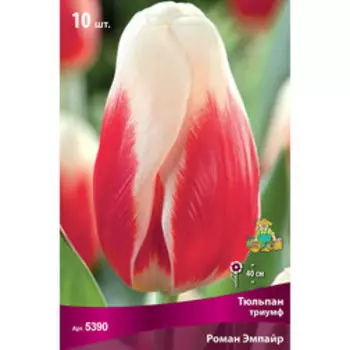 Тюльпан Триумф Роман Эмпайр (10 шт.)