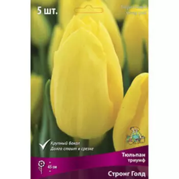 Тюльпан триумф Стронг Голд (5 шт.)