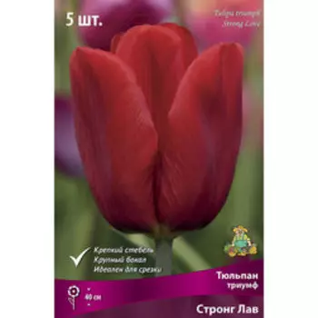 Тюльпан Триумф Стронг Лав (5 шт.)