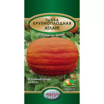Тыква Крупноплодная Атлант