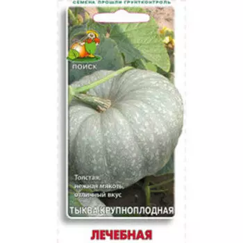 Тыква крупноплодная Лечебная