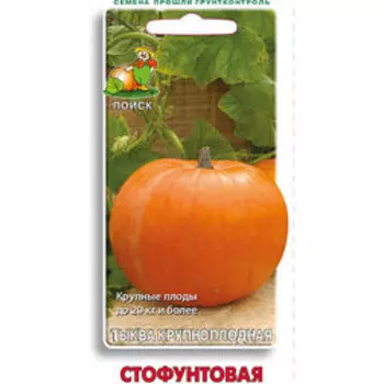 Тыква крупноплодная Стофунтовая