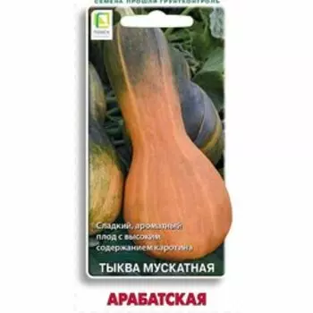 Тыква мускатная Арабатская