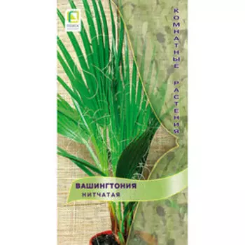 Вашингтония Нитчатая