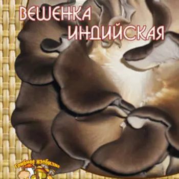 Вешенка Индийская (12 шт.)