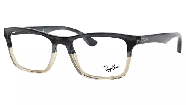 Оправа для очков Ray-Ban 5279 5540