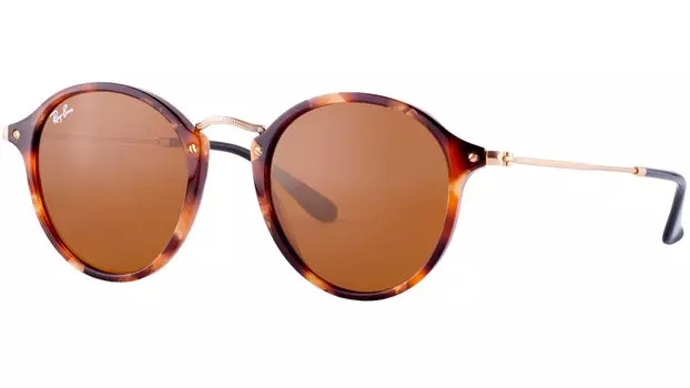 Солнцезащитные очки Ray-Ban 2447 1160 Round Fleck