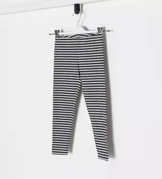 Леггинсы Original Marines