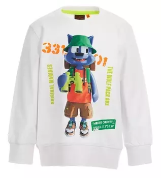 Свитшот для мальчика