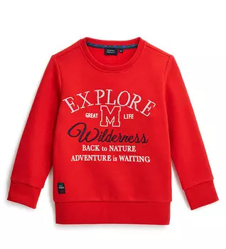 Свитшот для мальчика