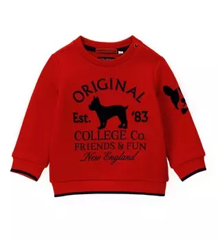 Свитшот для маленького мальчика