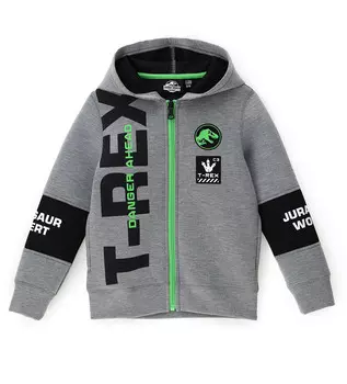 Толстовка на молнии для мальчика
