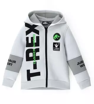 Толстовка на молнии для мальчика