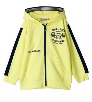 Толстовка на молнии для мальчика