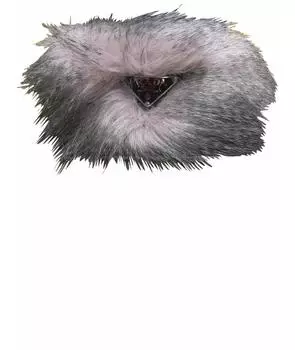 Ободок