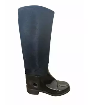 Сапоги