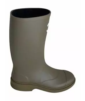 Сапоги