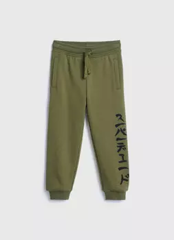 Брюки трикотажные для мальчиков, Зеленый
