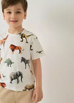 Футболка для мальчиков, Мультицвет