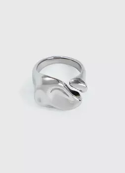 Кольцо, Серебряный