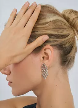 Серьги, Серебряный