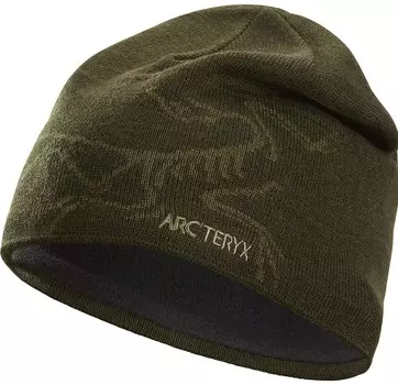 Arcteryx шапка Bird Head Toque (anecdote)
