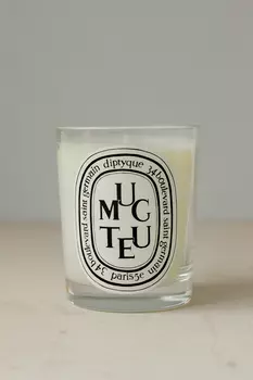 Ароматическая свеча Diptyque Muguet Candle 190g