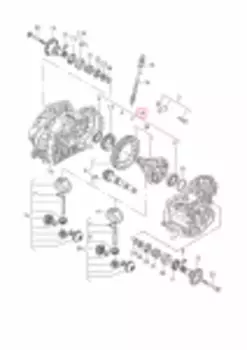 Дифференциал