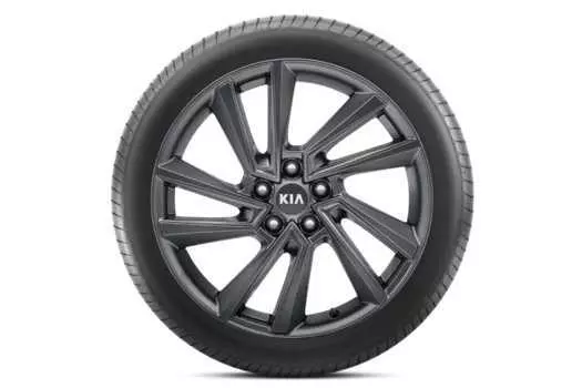 Диск колесный 7,5Jx19 Mobis P2400ADE09GR Kia Sorento 2020-