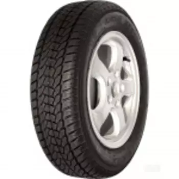 КАМА 195/65/15 H 91 НИКОЛА