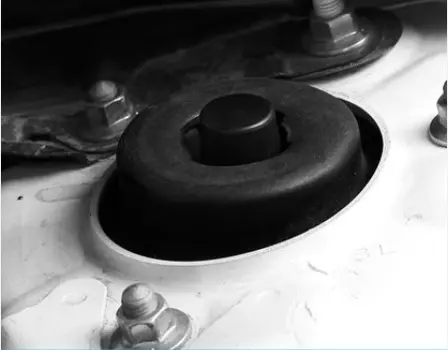 Колпачки Toyota RAV4 2019-