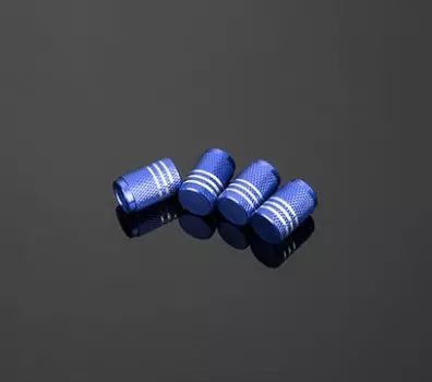 Колпаки (синие) Toyota RAV4 2019-