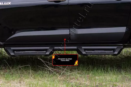 Молдинги на двери