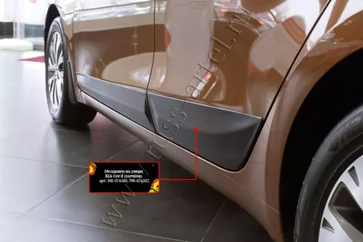 Молдинги на двери (передний левый)