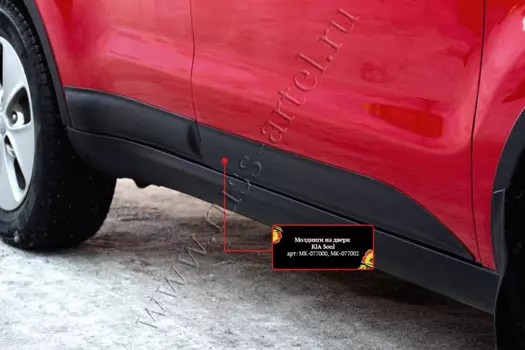 Молдинги на двери (передний левый)