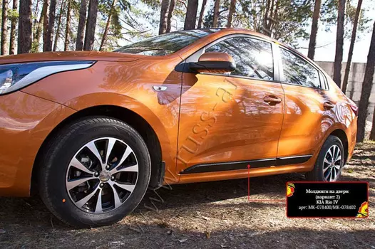 Молдинги на двери (вариант 2)