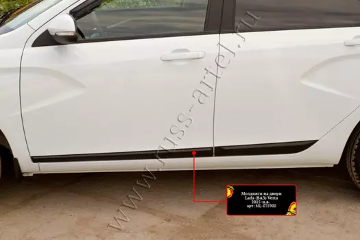 Молдинги на двери (задний левый)