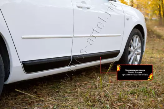 Молдинги на двери (задний левый)