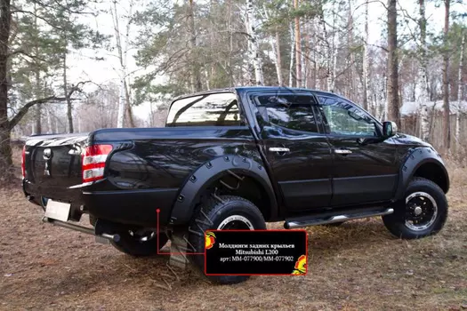 Молдинги задних крыльев