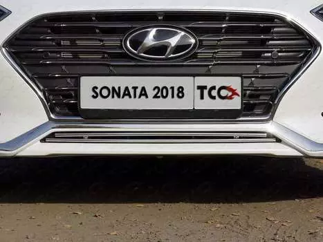 Накладка на задний бампер TCC HYUNSON20-04 Hyundai Sonata 2020-