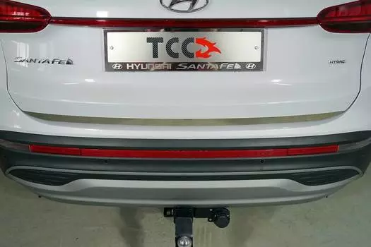 Накладка на заднюю дверь (лист зеркальный) HYUNSF21-09 Компания ТСС для Hyundai Santa Fe (4G) TM рест. 2021-