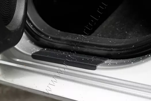 Накладки на внутренние пороги передних дверей (2шт.)