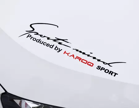 Наклейка Skoda Karoq 2020 (Шкода Карок)