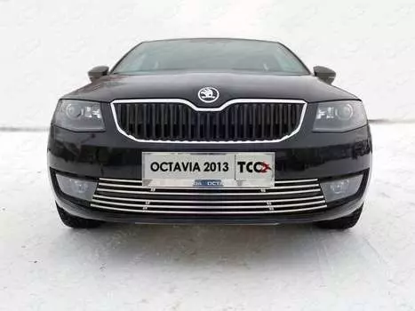 Рамки номерного знака 2шт (нержавеющая сталь) TCC SKOOCT-01RN для Skoda Octavia 2020 -