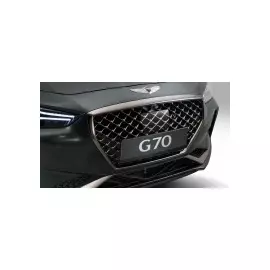 Решетка радиатора 86350G9110 GENESIS G70