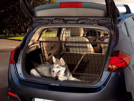 Решетка в багажник (нижняя) KIA A2151ADE00 для KIA Ceed 2018 - 2019