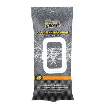 Салфетки влажные для пластика Golden Snail GS 0403