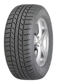 Шина автомобильная GoodYear WRL HP 215/60 R16, летняя, 95H