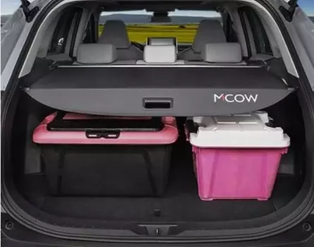 Шторка в багажник с логотипом Toyota RAV4 2019-