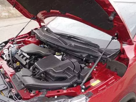 Упор капота (комплект) Компания ТСС NISQASH19-13Y Nissan Qashqai II 2019-